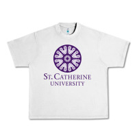 Lunar Rock ST. CATHERINE UNIVERSITY Urban Heavy Tee - Craftify