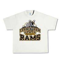 Pistachio framingham state Urban Heavy Tee - InspiraDesign