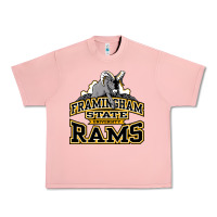 Framingham State Urban Heavy Tee | Teevron