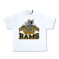 White framingham state Urban Heavy Tee - InspiraDesign