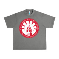 Tornado csu channel islands seal Urban Heavy Tee - InspiraDesign