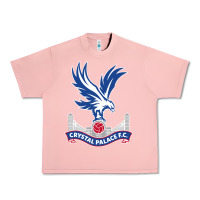 Salmon the-crystal-palace-f.c.-cool Urban Heavy Tee - InspiraDesign