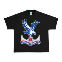 Black the-crystal-palace-f.c.-cool Urban Heavy Tee - InspiraDesign