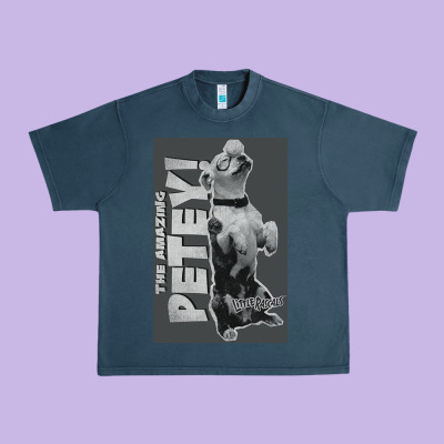Little Rascals, Amazing Petey Urban Heavy Tee Designed By Inspiradesign