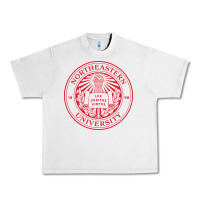 Lunar Rock Northeastern University Urban Heavy Tee - ArtChic