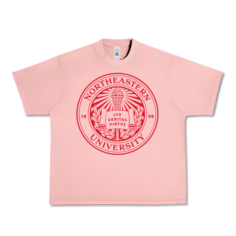 Northeastern University Urban Heavy Tee by ArtChic | Teevron