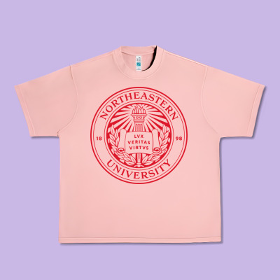 Northeastern University Urban Heavy Tee Designed By Artchic