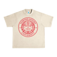 Sandshell Northeastern University Urban Heavy Tee - ArtChic
