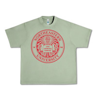 Oil Green Northeastern University Urban Heavy Tee - ArtChic