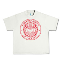 Pistachio Northeastern University Urban Heavy Tee - ArtChic