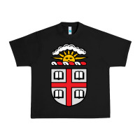 Black brown university Urban Heavy Tee - StudioElite