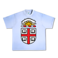 Grape Ice brown university Urban Heavy Tee - StudioElite