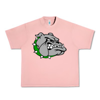 Salmon ashville high school, ashville bulldogs Urban Heavy Tee - PixelFlow