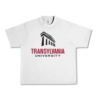 Lunar Rock transylvania university Urban Heavy Tee - PixelFlow