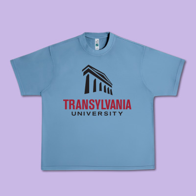 Transylvania University Urban Heavy Tee Designed By Pixelflow