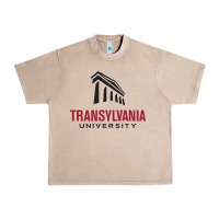 French Oak transylvania university Urban Heavy Tee - PixelFlow