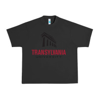 Pigment Black transylvania university Urban Heavy Tee - PixelFlow