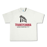 Pistachio transylvania university Urban Heavy Tee - PixelFlow