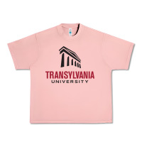 Salmon transylvania university Urban Heavy Tee - PixelFlow