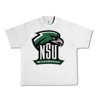 Lunar Rock northeastern state riverhawks Urban Heavy Tee - SnappyArt