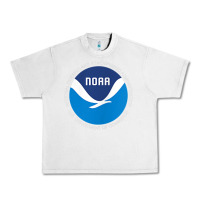 Lunar Rock noaa national oceanic and atmospheric administrati Urban Heavy Tee - SnappyArt