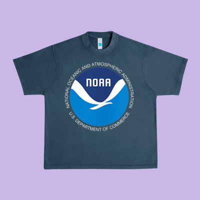 Noaa National Oceanic And Atmospheric Administrati Urban Heavy Tee Designed By Snappyart