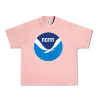 Salmon noaa national oceanic and atmospheric administrati Urban Heavy Tee - SnappyArt