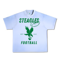 Grape Ice steagles football est 1943 phil phit combine team pullover hoodie Urban Heavy Tee - ArtMosaic