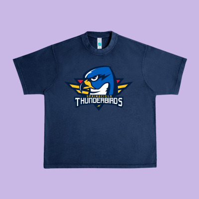 Springfield Thunderbirds Urban Heavy Tee Designed By Artmosaic