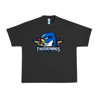 Pigment Black springfield thunderbirds Urban Heavy Tee - ArtMosaic