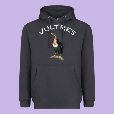 Vultures Heavyweight Hoodie Designed By Bettercallsaul