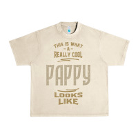 Sandshell Really Cool Pappy Urban Heavy Tee - artisFamous
