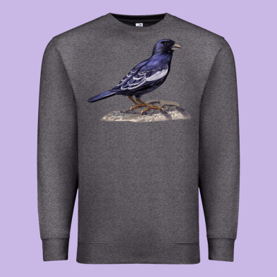 Lark Bunting Colorado State Bird Premium Sweatshirt Designed By Ranaportraitstore