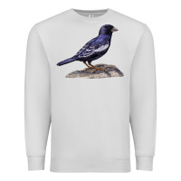 Dove Grey Lark Bunting Colorado State Bird Premium Sweatshirt - RanaPortraitStore