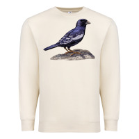 Sandshell Lark Bunting Colorado State Bird Premium Sweatshirt - RanaPortraitStore