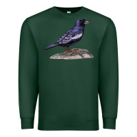 Sports Green Lark Bunting Colorado State Bird Premium Sweatshirt - RanaPortraitStore