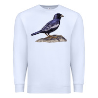 White Lark Bunting Colorado State Bird Premium Sweatshirt - RanaPortraitStore