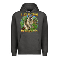 Charcoal Heather i like raccoons and 3 people Premium Hoodie - BarkalooDesign