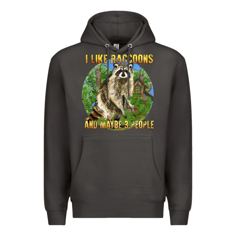 I Like Raccoons And 3 People Premium Hoodie by BarkalooDesign | Teevron