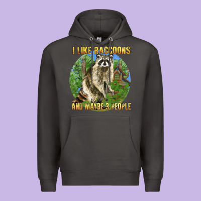 I Like Raccoons And 3 People Premium Hoodie Designed By Barkaloodesign