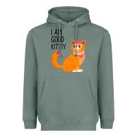 Sage I Am Good Kittiy Heavyweight Hoodie - Bettercallsaul