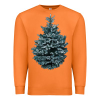 Carrot Colorado Blue Spruce Premium Sweatshirt - RanaPortraitStore
