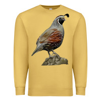Antique Gold California Quail Bird Premium Sweatshirt - RanaPortraitStore