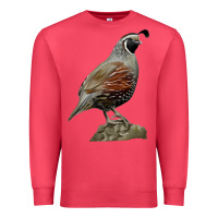 Cardinal California Quail Bird Premium Sweatshirt - RanaPortraitStore