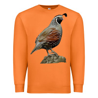 Carrot California Quail Bird Premium Sweatshirt - RanaPortraitStore