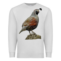 Dove Grey California Quail Bird Premium Sweatshirt - RanaPortraitStore