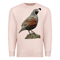 Pale Pink California Quail Bird Premium Sweatshirt - RanaPortraitStore