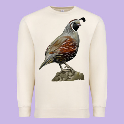 California Quail Bird Premium Sweatshirt Designed By Ranaportraitstore