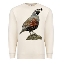 Sandshell California Quail Bird Premium Sweatshirt - RanaPortraitStore