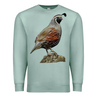 Seafoam California Quail Bird Premium Sweatshirt - RanaPortraitStore